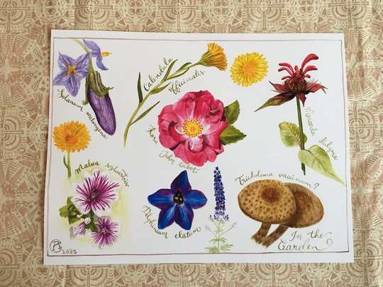 In The Garden Journal Print - Wall Decor Botanical Painting Eggplant Rose Watercolor Plants