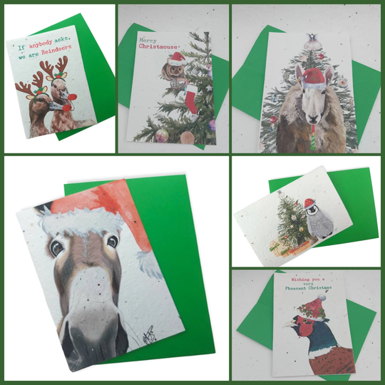Plantable Christmas Seed Cards - Eco Friendly -Flower Cards- Pack Of 6