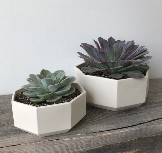 Octagon Succulent Planter, Ceramic Porcelain Modern Tabletop Small Large White Planter Set