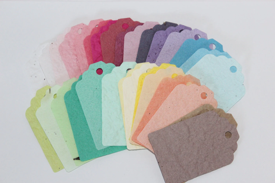 12 Eco Friendly, Seed Gift Tags Mixed Colour Rainbow, Plantable Paper , Recycled With Seeds Embedded