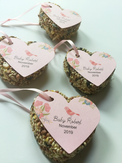30 Baby Shower Favors, Bird Seed Girl, Gifts For Guests, Party Favors
