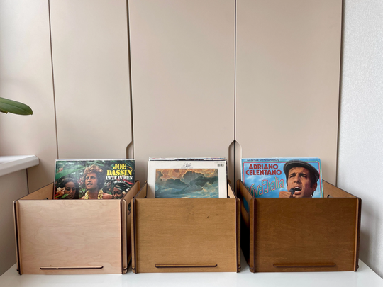 Record Storage Crate, Vinyl Record Organizer, Wood Box