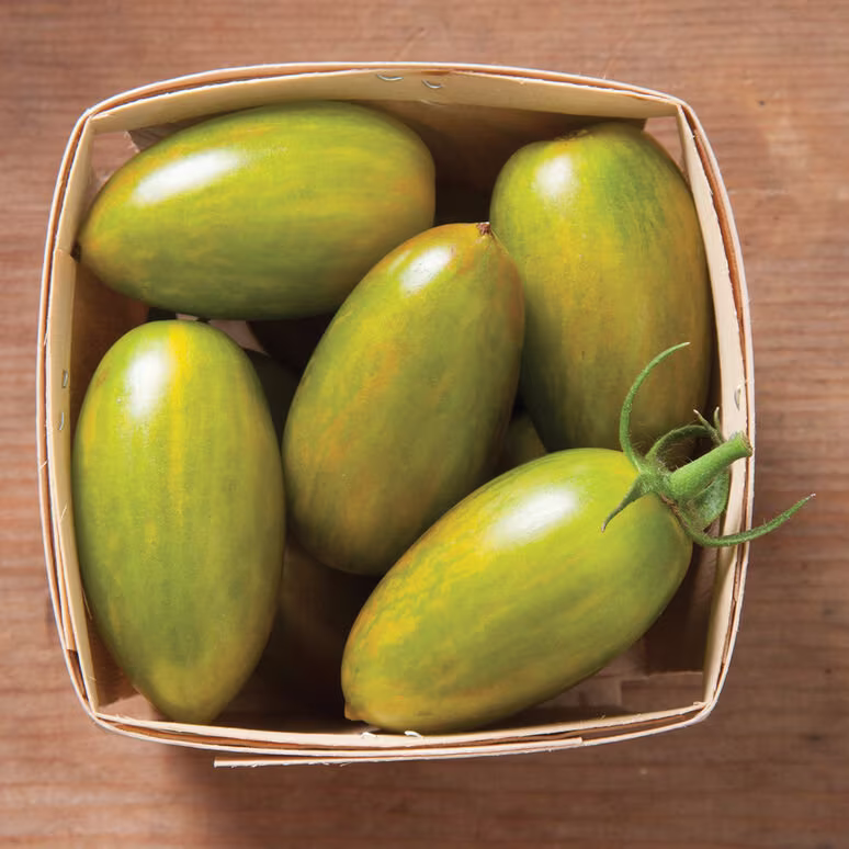 Tomato Green Tiger Organic Seed 15