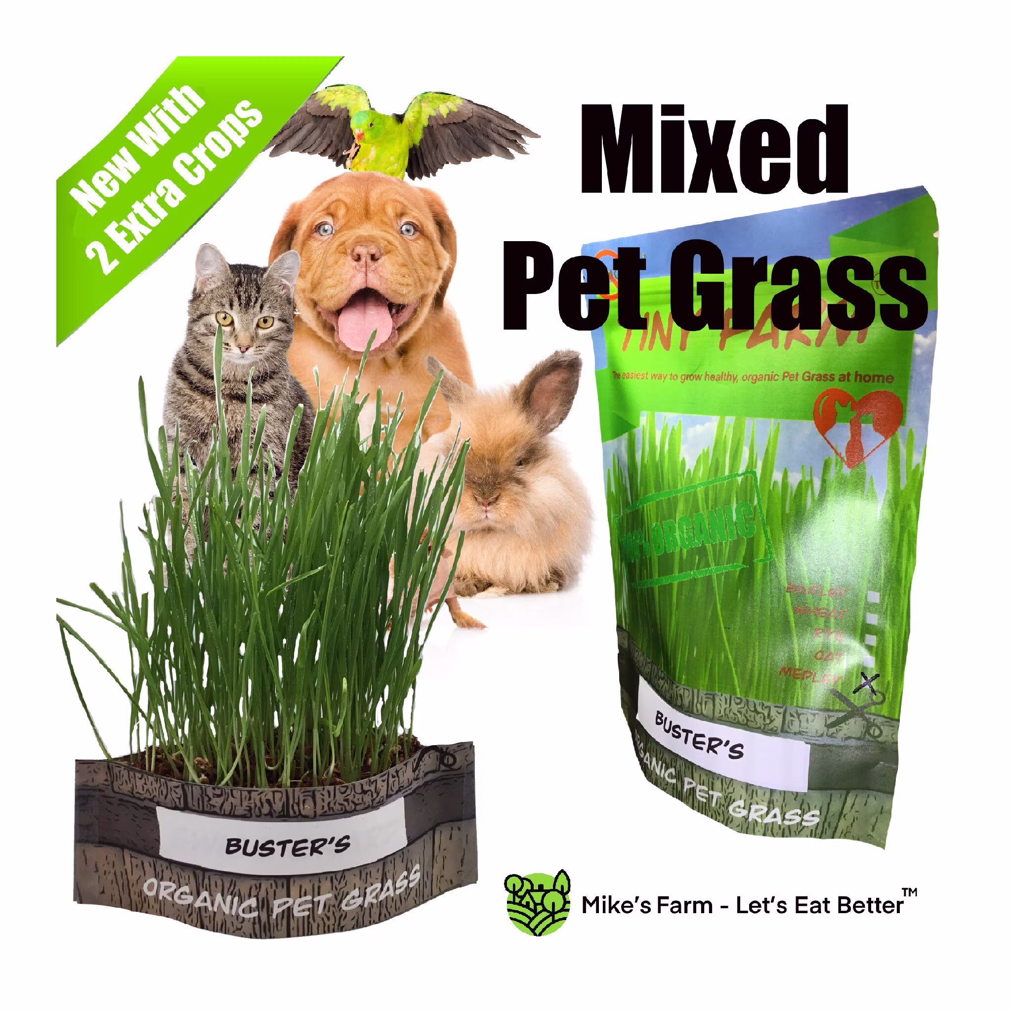 Organic Pet Grass Mix - Grow Your Own Healthy, Organic Pet Grass. Kit Includes Everything To Grow 3 Batches