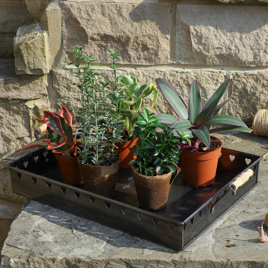Vintage Hearts Garden Plant Tray