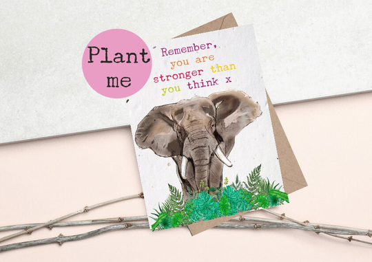 Plantable Seed Cards - Plantable Greetings Cards Eco & Vegan Friendly