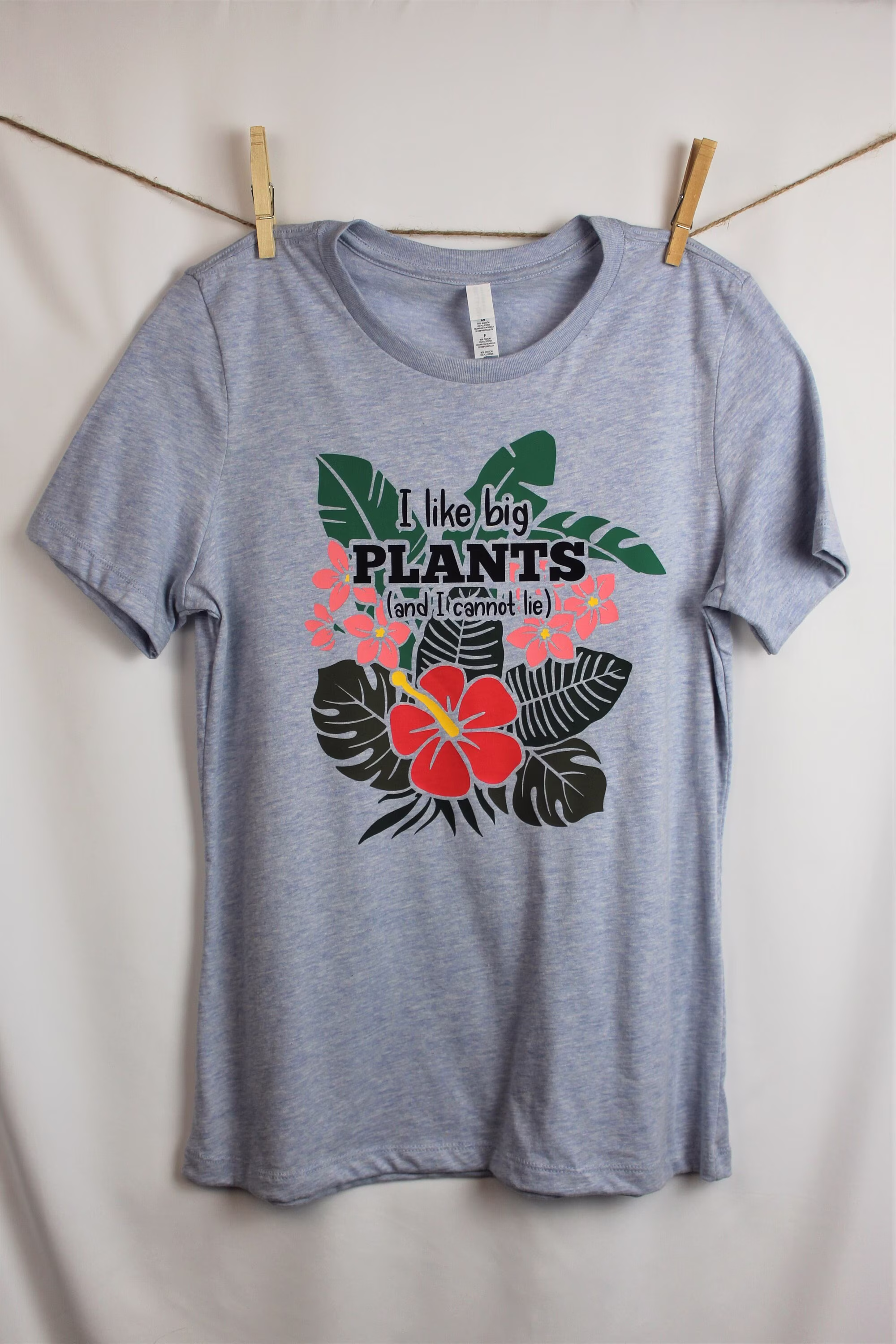 I Like Big Plants & Cannot Lie Ladies Crewneck Shirt | Short Sleeved Garden Womens Houseplant Tropical Gardening