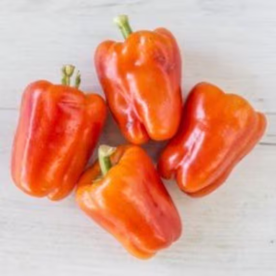 Pepper Seeds Alba