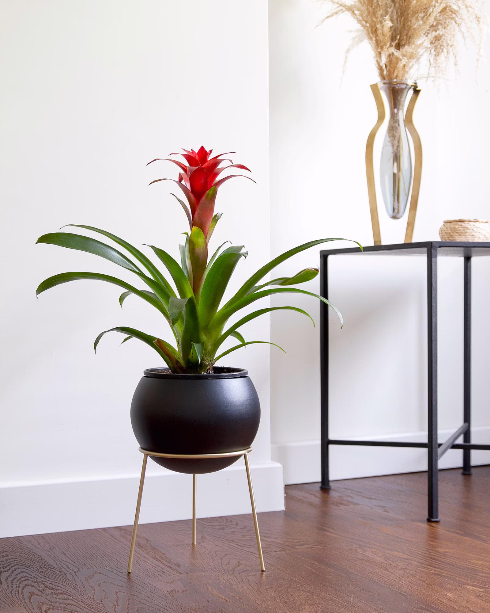 Globe - Floor Planter With Brass Stand Black Big Size