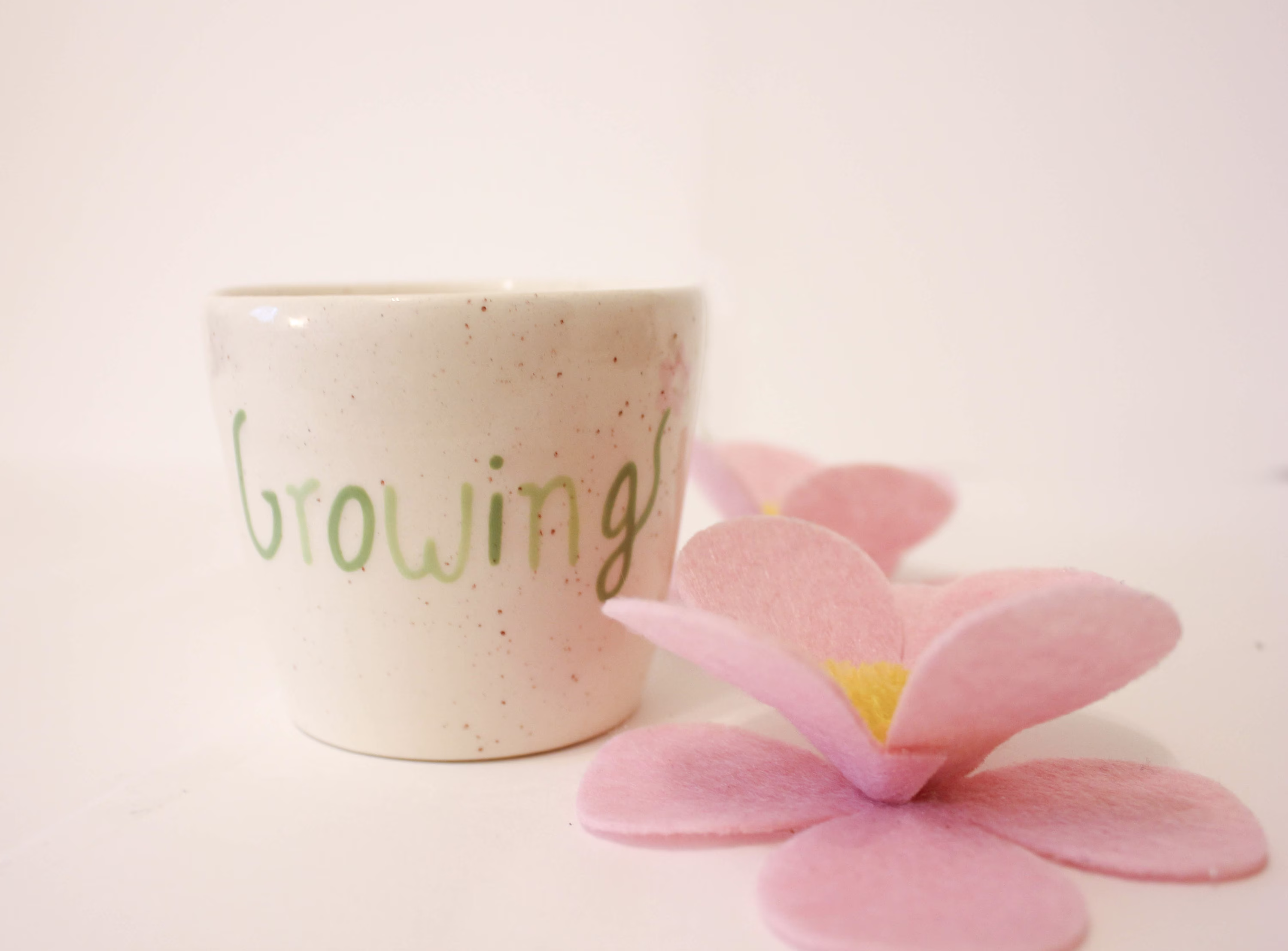 Growing Flower Pot