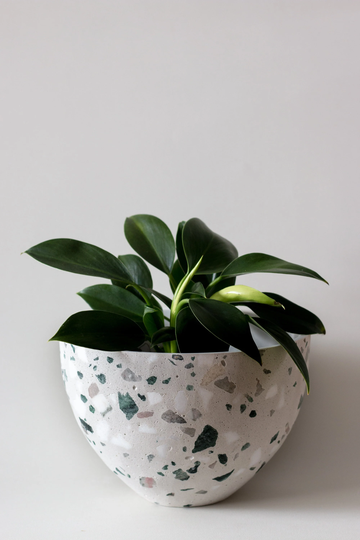 Medium Terrazzo Planter