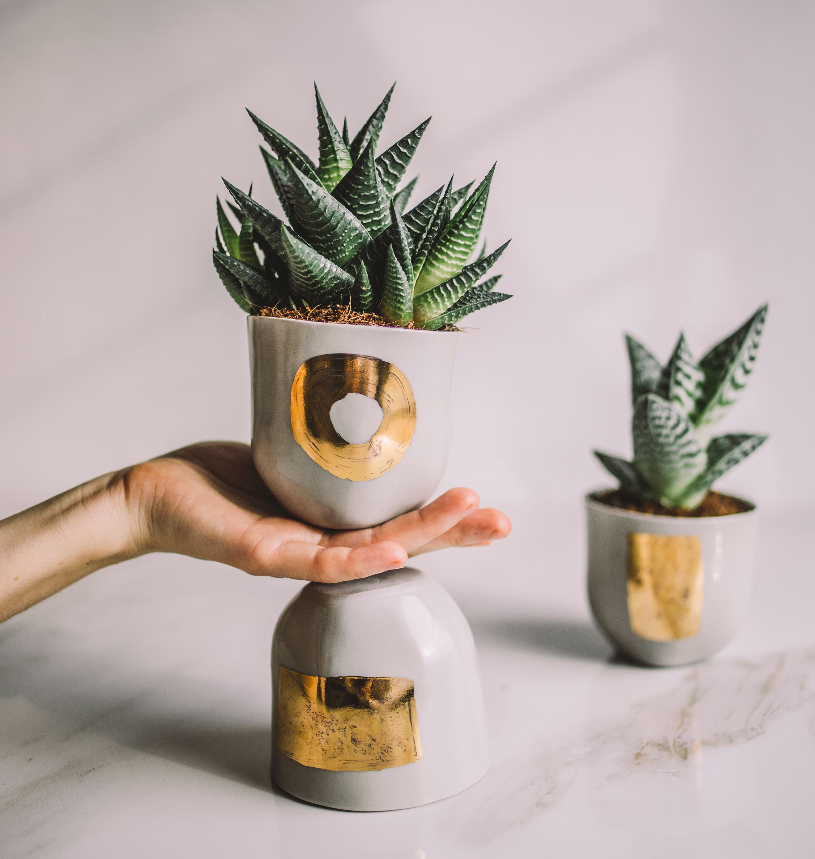 Gold Ceramic Planter Succulent Set Office Decor Desk Accessories Cactus Geometric Hygge New Job Gift Pots