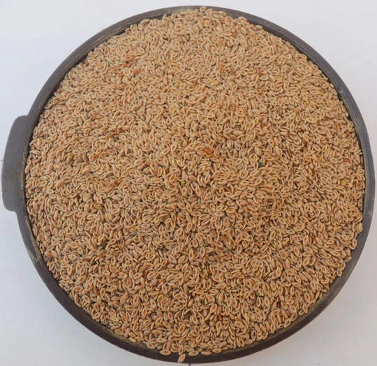 Psyllium Seed, Isabgol Beej, Isabgol Seeds, Plantago Ovata Seeds 100% Pure Natural Herbs Whole