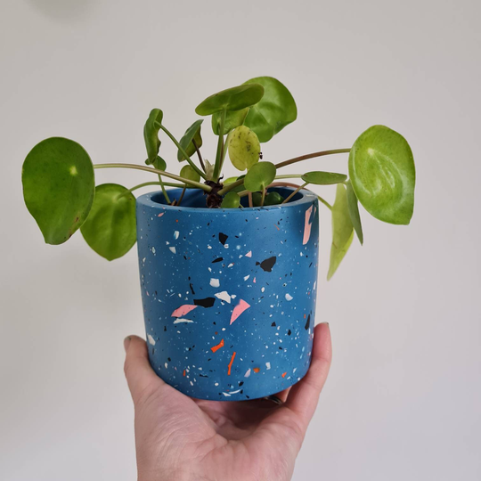 Round Terrazzo Plant Pot - Navy, Indoor Pot, Succulent Toothbrush Holder, Pen Make Up Brush Gift