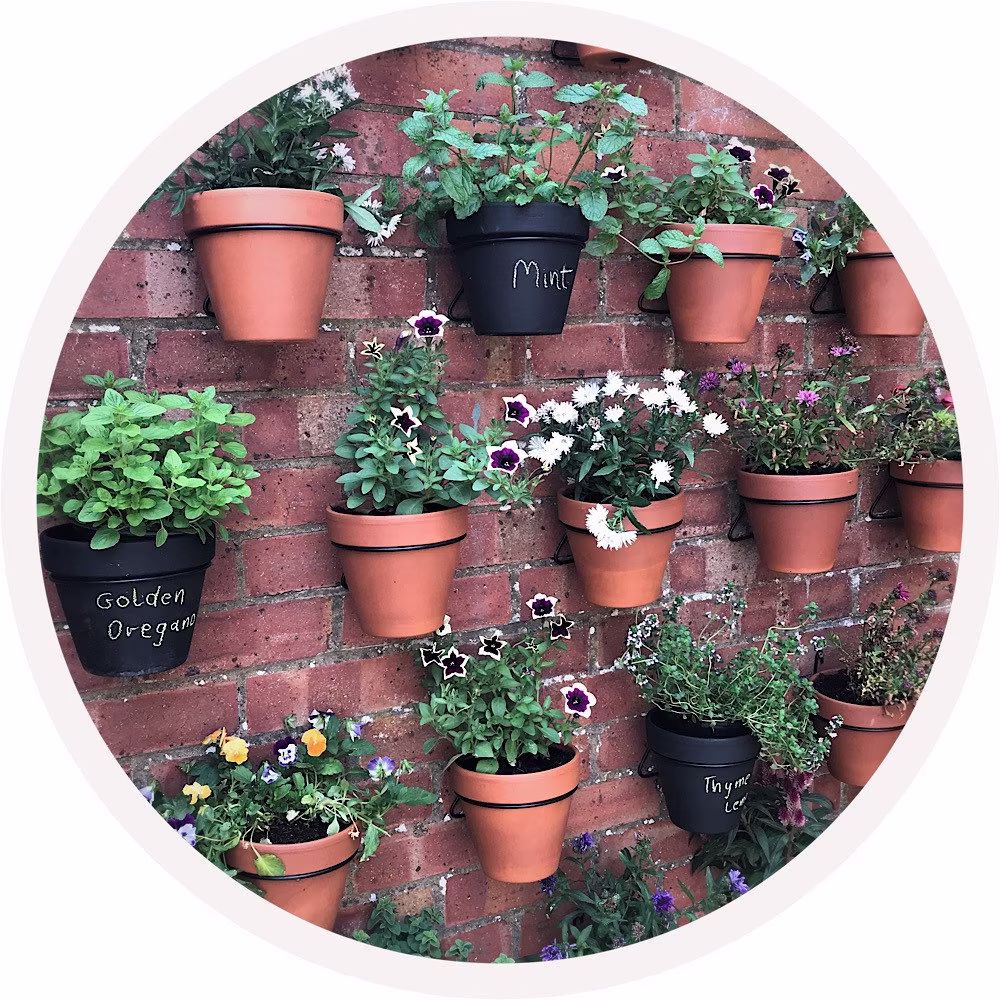 Pot Ups Plant Hanger Rings Pack Of 6 Black Holders To Fit 6