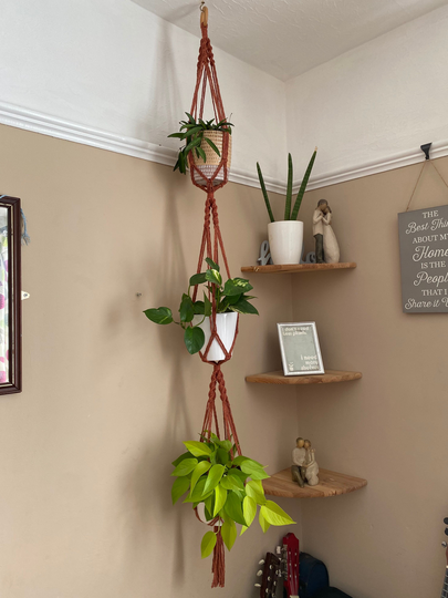 Terracotta Triple Plant Hanger, Large Hanger, Accessories, Boho Decor, Macrame Pot Holder, Triple Planter, Multiple Plants Holder