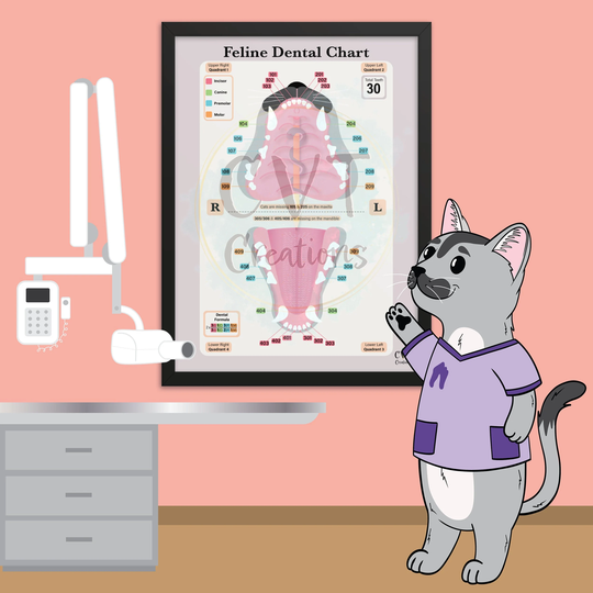 Framed Feline Dental Print