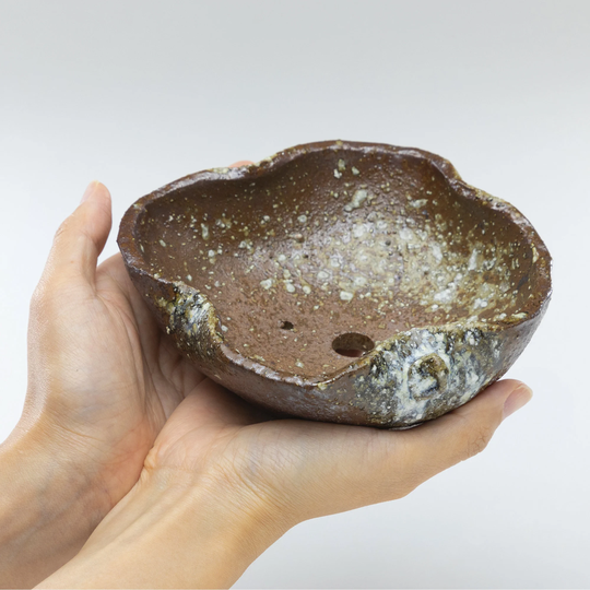 Wazakura Shigaraki Series Handmade Leaf Shaped Ceramic Bonsai Pot With Drainage Hole, 5.9 in | 150 Mm Made Japan Flower Planter