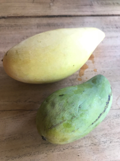 1 Thai Sweet Mango Seed