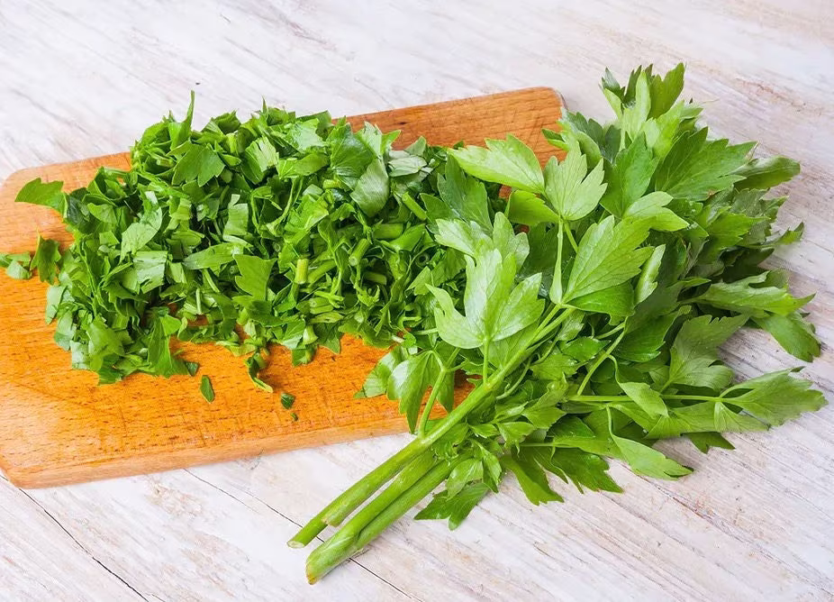 Garden Lovage 1G/150 Seeds - Levisticum Officinale Gmo Free