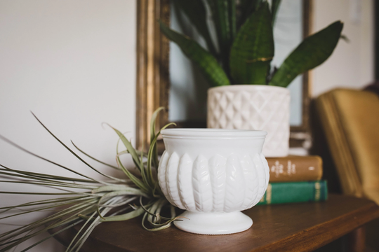 Vintage Milk Glass Round Hobnail Planter With Live Air Plant, Midcentury Mod, Plant Gift For Her, Houseplant Lover, Mother's Day Gift, Mom