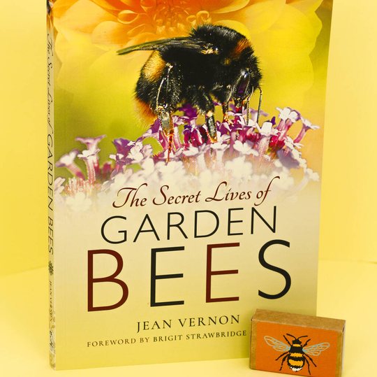 The Secret Lives Of Garden Bees And Wildflower Seeds