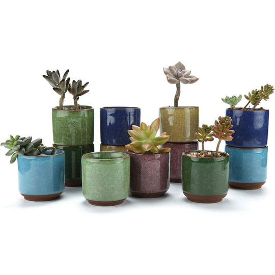 6.5CM Ceramic Succulent Pots Crackle Series Succulent Plant Cactus Flower Pot Planter Cultivate 1 Pack of 12 Gift for Anniversary Wedding
