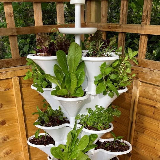 Acqua Garden Two: Solar Powered Vertical Growing System