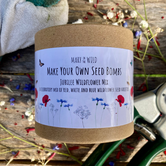 Make Your Own Jubilee Wildflower Seed Bombs Kit