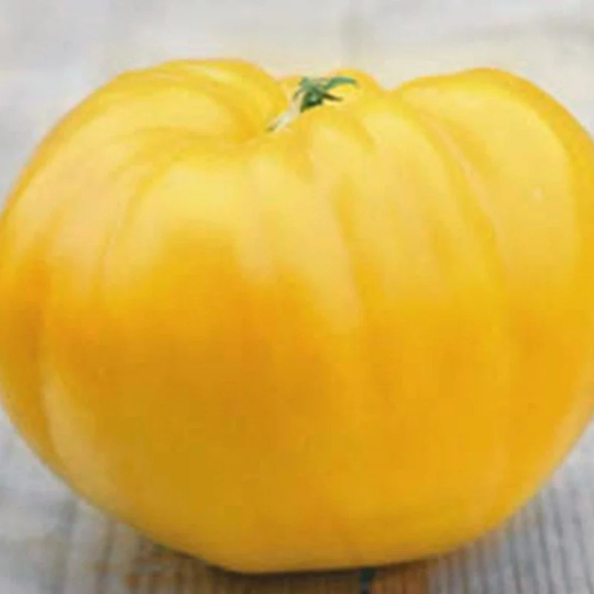Tomato Lemon Giant Seeds Heirloom Non Gmo For Planting | 201103
