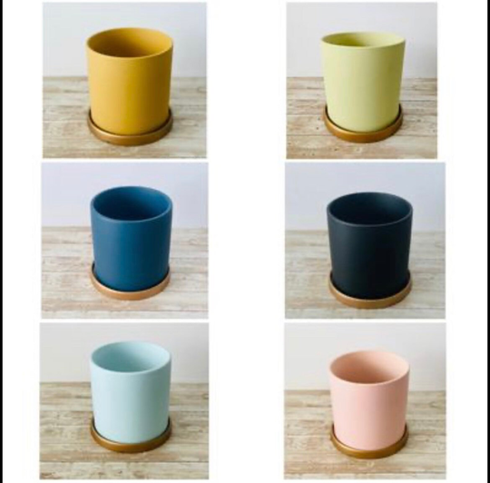 Ceramic Cylinder Planter Pot 6 Inch/ Nordic Style With Drainage/ Indoor Plant Modern Housewarming Gift