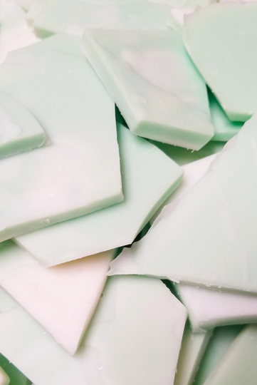 Cactus & Sea Salt Wax Brittle