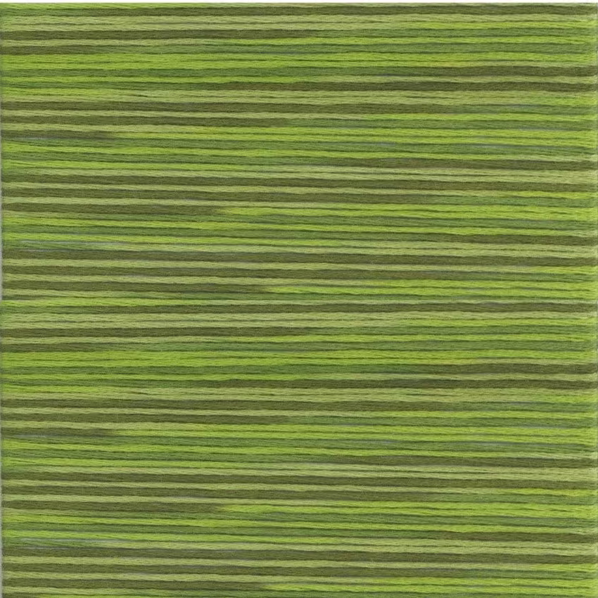 Cosmo Seasons Variegated Green #5014 Embroidery Floss 5000 Series