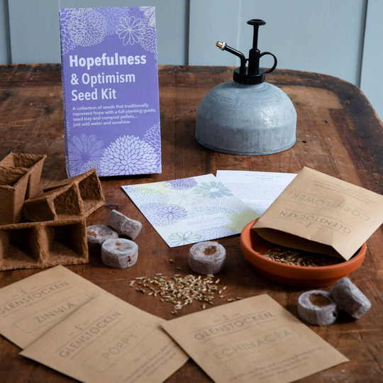 Reflective Moods Seed Kit Hopefulness