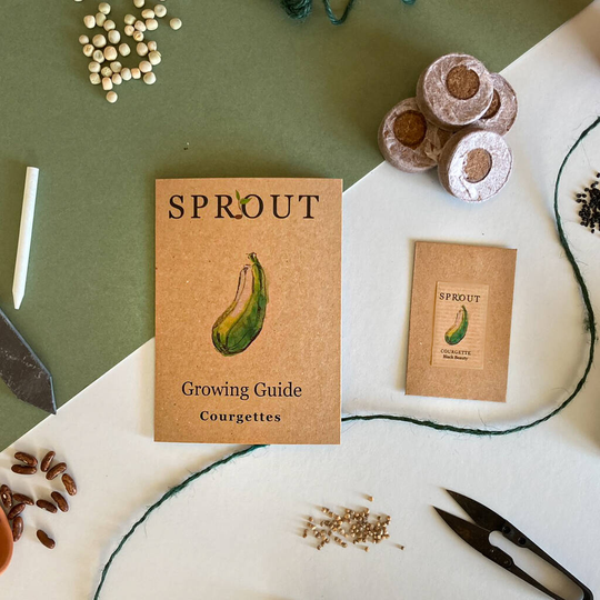 Grow Your Own Courgette Seeds Gift Set