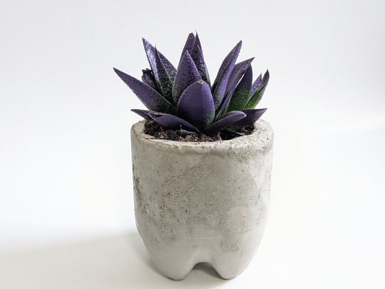Concrete Planter | Modern & Minimal Home Décor