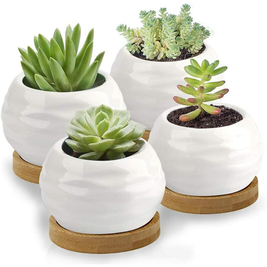 Briday - Succulent Pots, White Mini 3.15 inch Ceramic Flower Planter Pot with Bamboo Tray, Pack of 6 - Plants Not Included