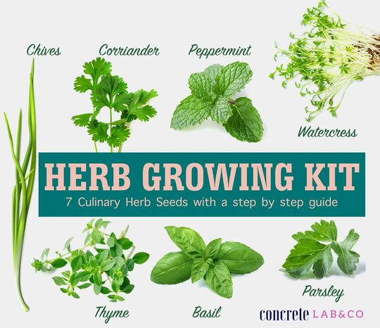 Herb Growing Kit Complete Seed Box Set 7 Seeds Packets Biodegradable Peat Pots Indoor Garden Ideal Gardening Gift
