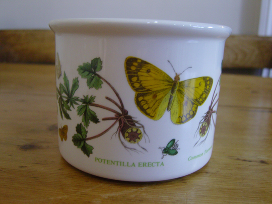 Portmeirion Botanic Garden Potentilla Planter