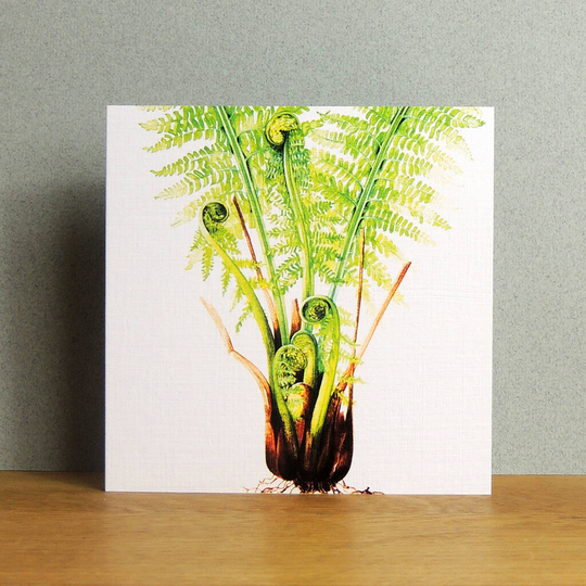 Fern Greetings Card