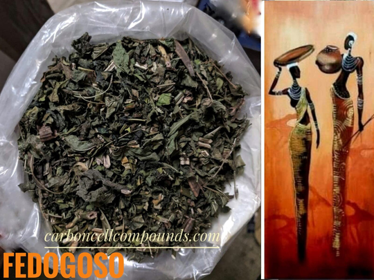 Fedogoso | Country Of Origin. Jamaica - | Next Available Wild-Picking 30 Feb 2022