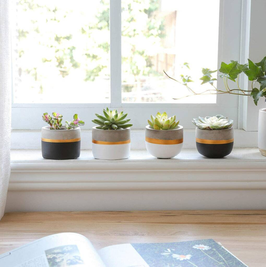 Mini Concrete Succulent Planters