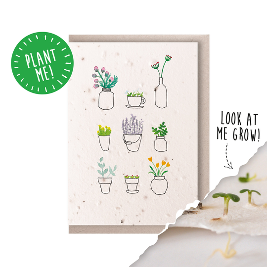 Plantable Seed Card/Pot Plant Watercolour Lady 100% British Wildflowers Eco-Friendly