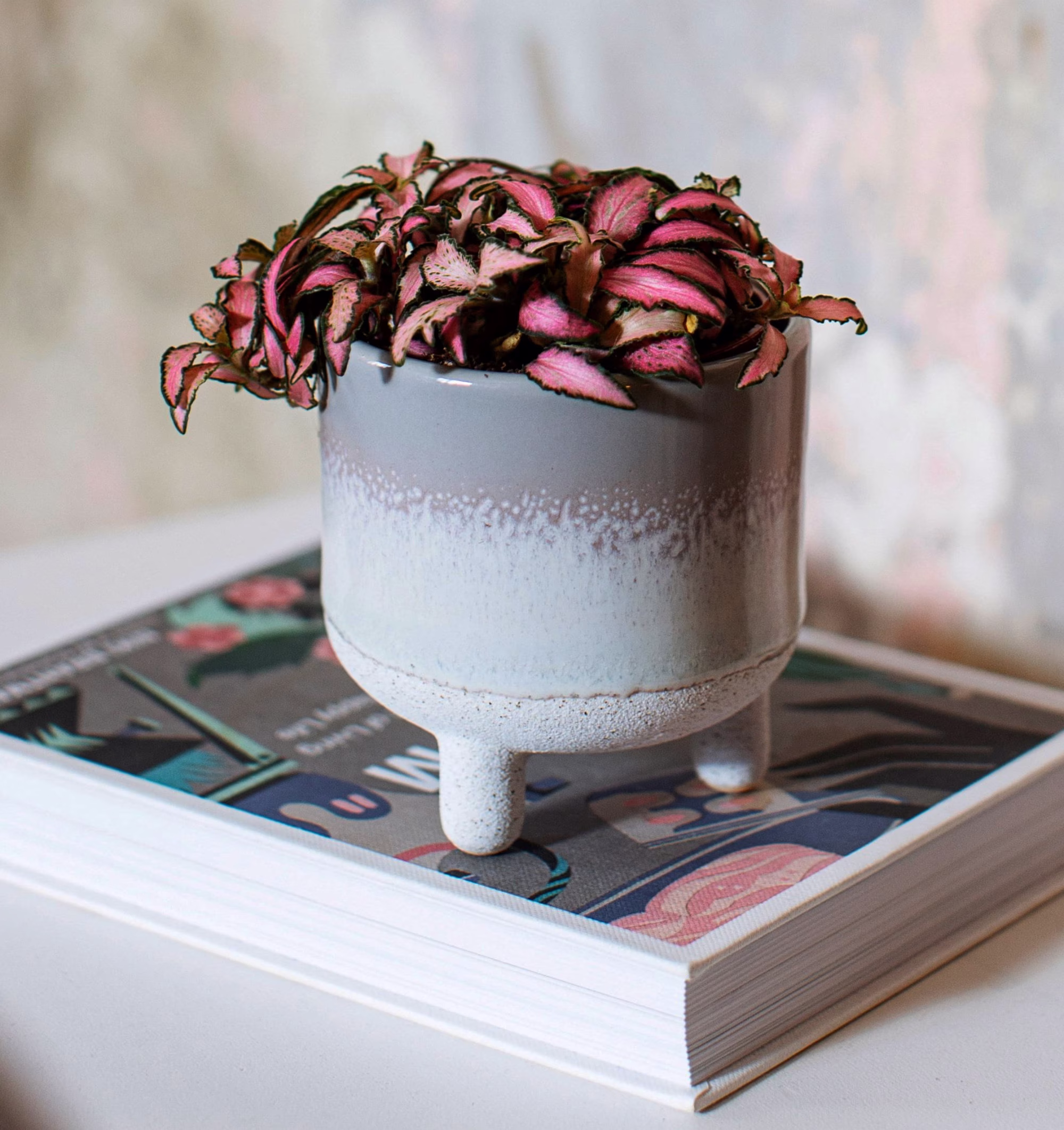 Mojave Glaze Grey Planter, Stoneware Mini Planter Plant Pot Succulent Cactus Houseplant Home Gift Bohemian