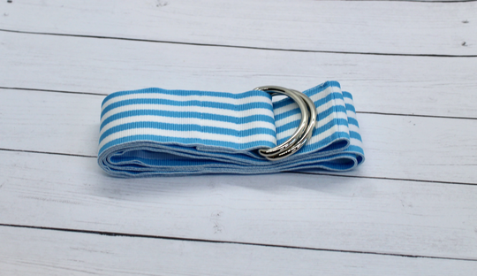 Women's Light Blue & White Striped Grosgrain Ribbon Belt, Spring Sumer Gold Or Silver Hardware, All Season Belt