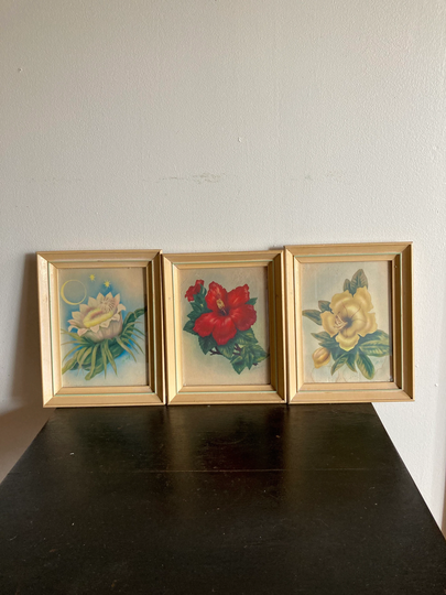 Vintage Ted Mundorff Hawaiian Floral Prints ~ Framed Yellow & Red Hibiscus Night Blooming Cereus Flowers Of Hawaii
