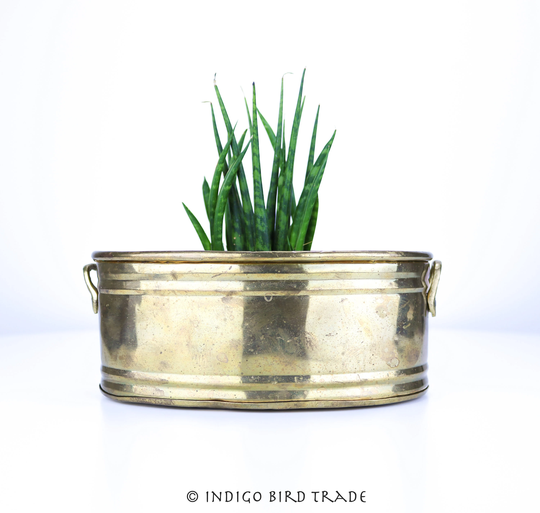 Vintage Brass Planter With Handles | Antique Gold Metal Indoor Plant Pot Small Medium Oblong Holder Mid Century Cactus