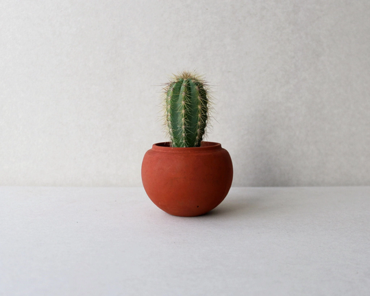 Terracotta Red Concrete Planter Pot | Sphere Minimalistic Succulent Plant Gardening Gift