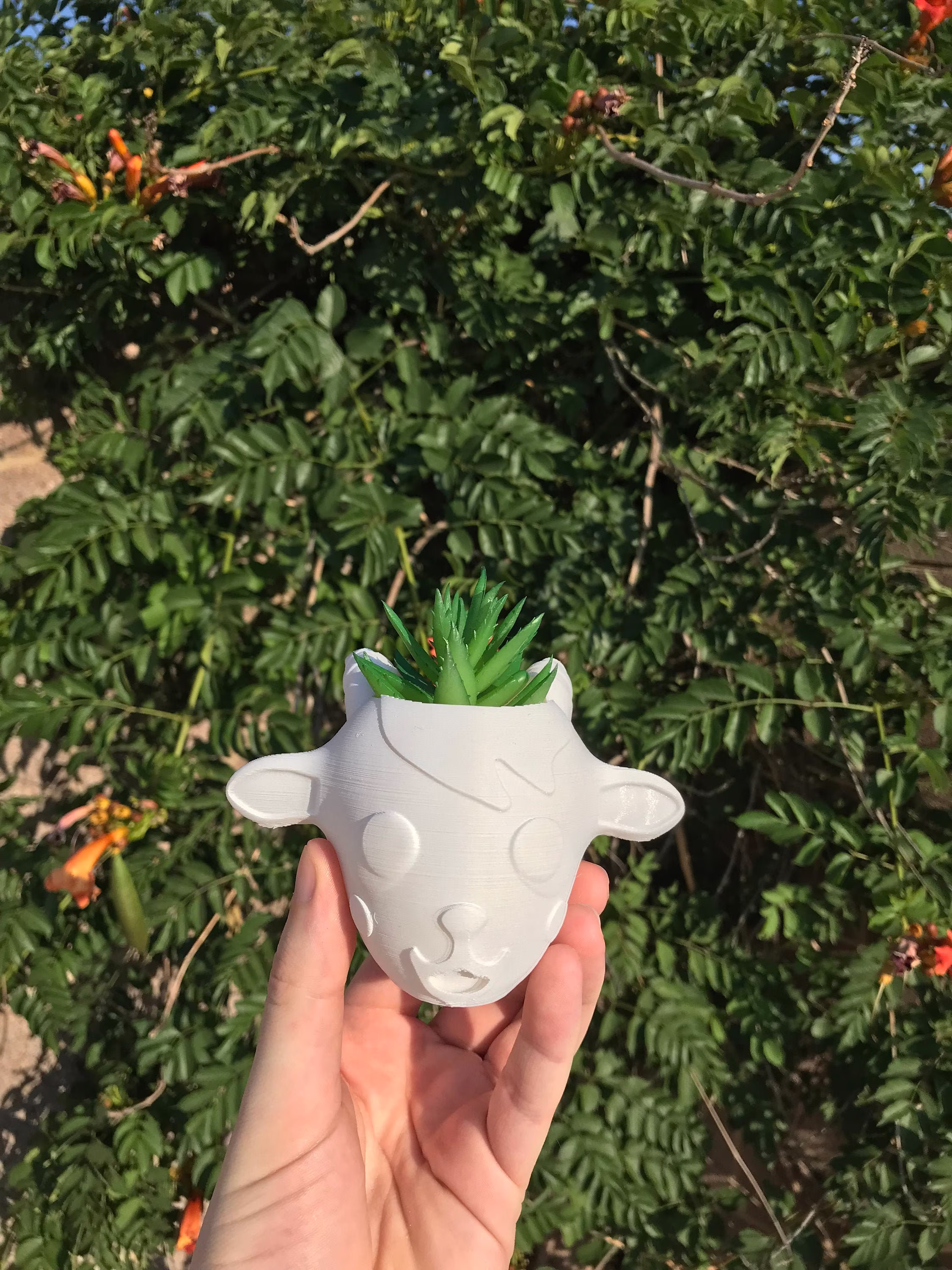 Sherb Succulent Planter | Office Decor Home Modern 3D Printed With Drainage Indoor