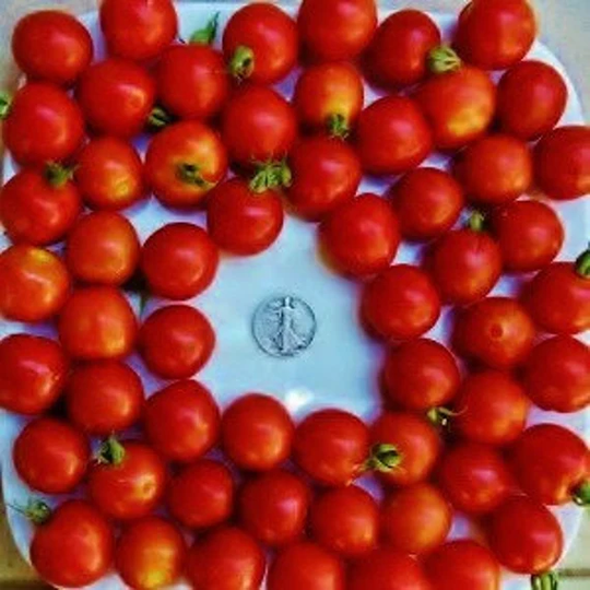 Large Red Cherry - 40 Hand Picked Seeds